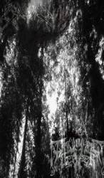 Zagan : Drowning Deeper - Zagan